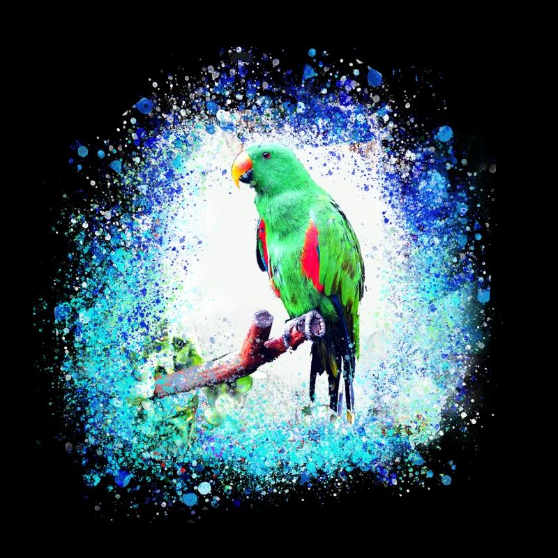 perfich ara,oiseau,graffiti,mint,bleu,brush,spray