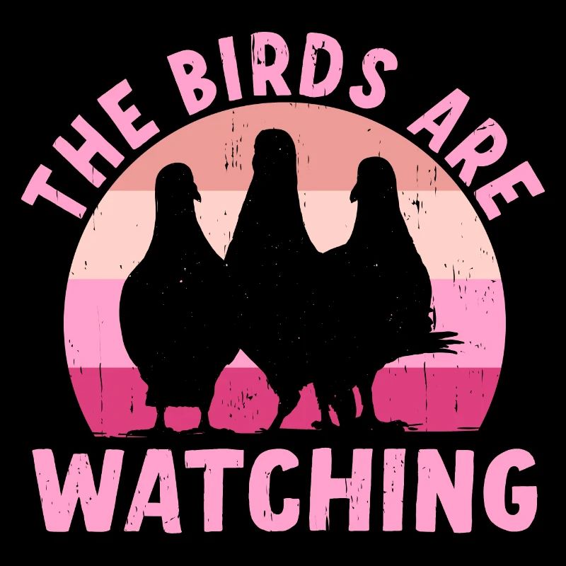 Les oiseaux observent
