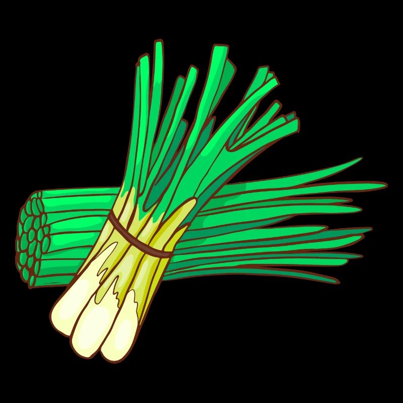 Oignons d’hiver Oignons de printemps Oignons précoces oignons