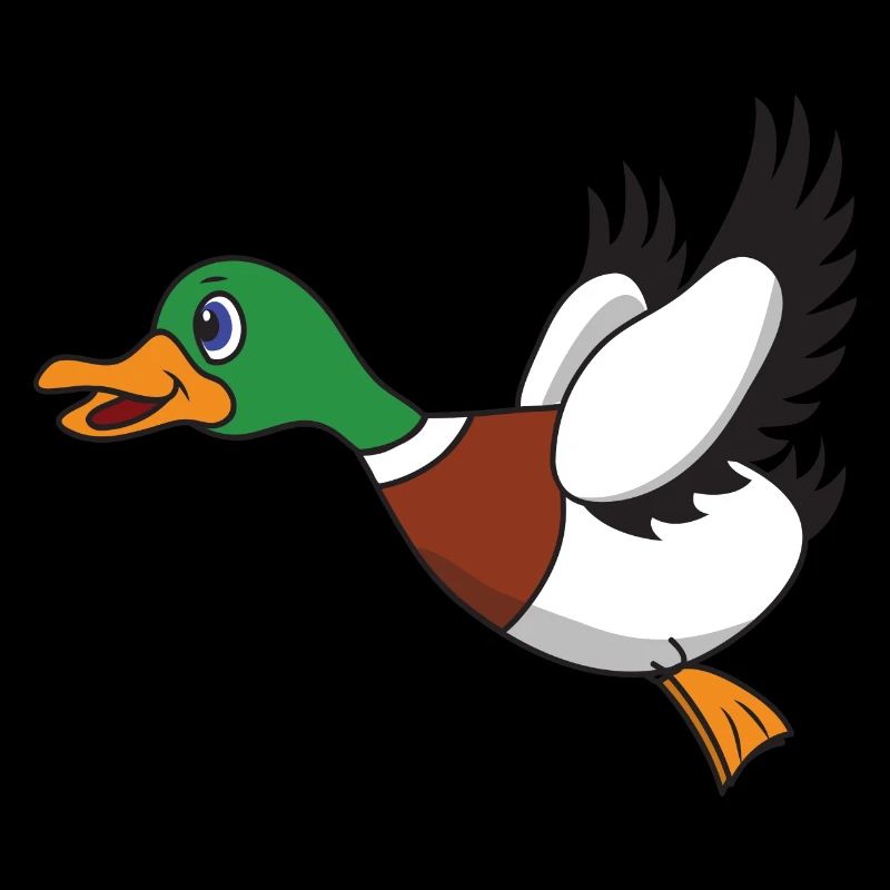 Canard volant