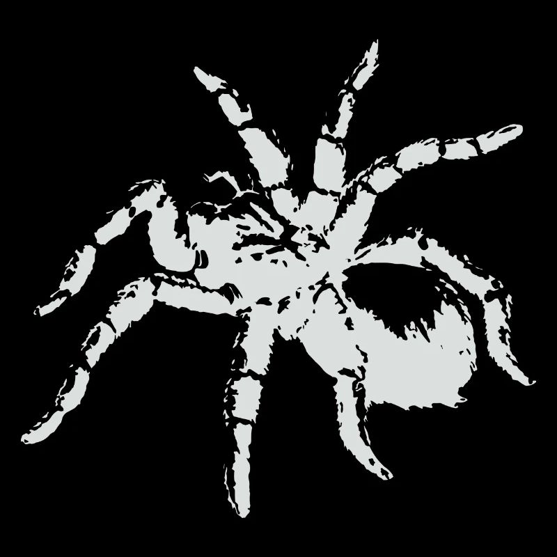 Tarantule araignée blanche