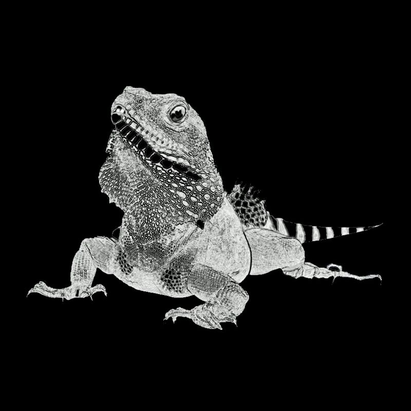 Lézard