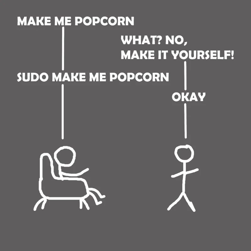 programmer sudo informatik