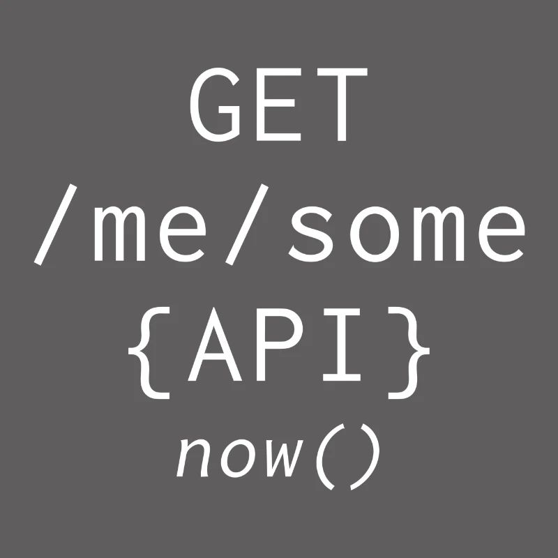 Api Programming Informatic Geschenk Spruch