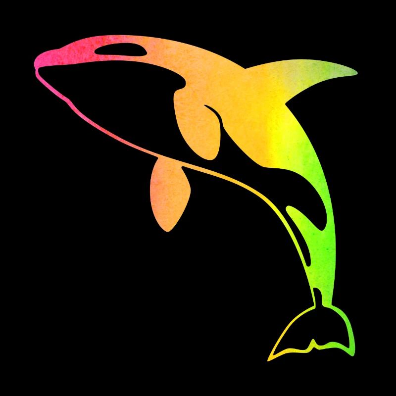 Regenbogen Orca