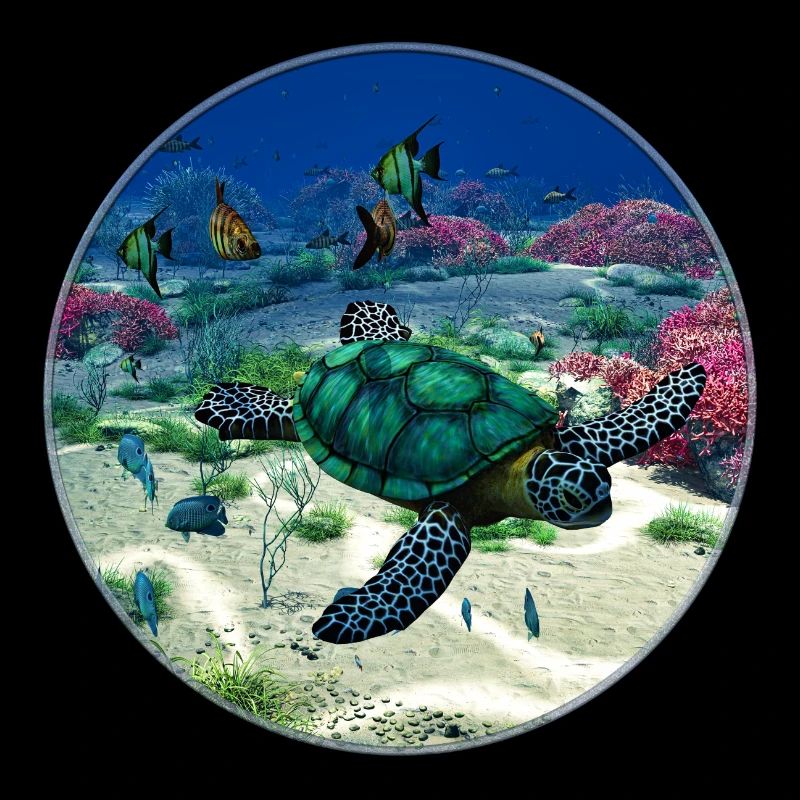 Tortue marine