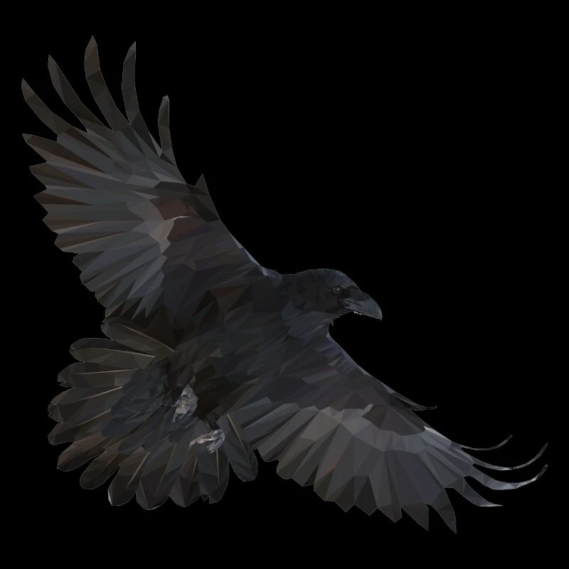 Fly Away Volant Polygone Corbeau