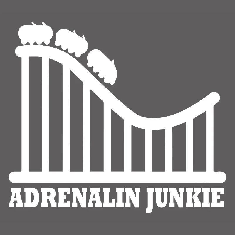 Rollercoaster Achterbahn Freizeitpark