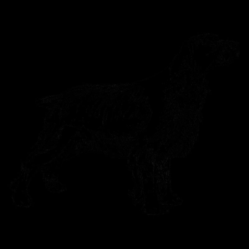 chien de chasse