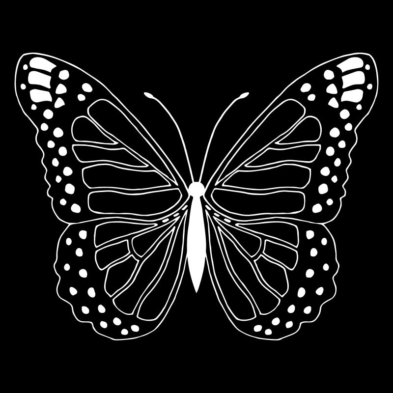Papillon Papillon Papillon