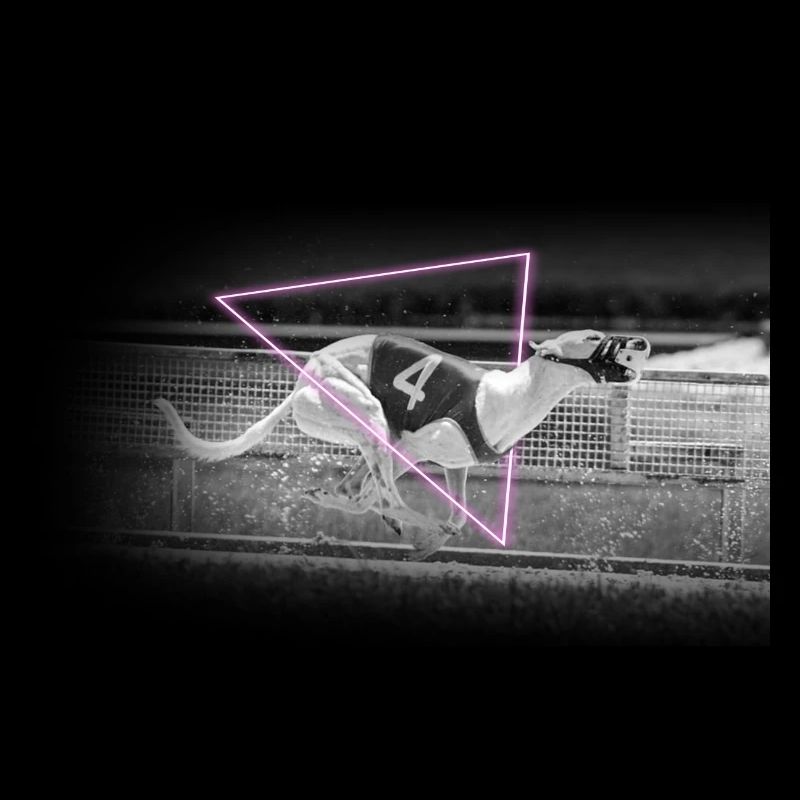 Racing Greyhound Mid Sprint In Neon Triangle