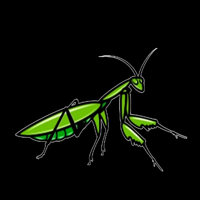 Insectes
