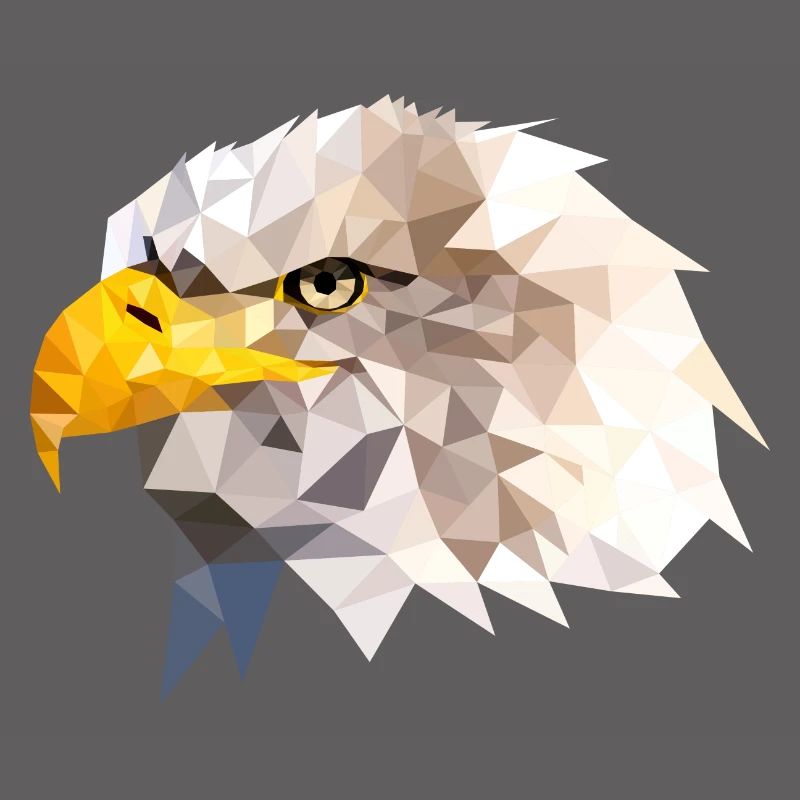 Bald Eagle Sea Eagle American Eagle Eagle