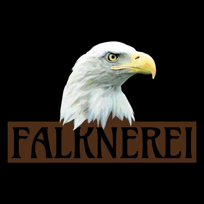 Fauconnerie, aigle, transparent