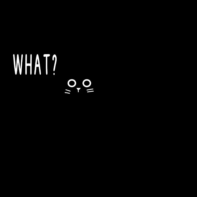Chat Quel Chat Noir
