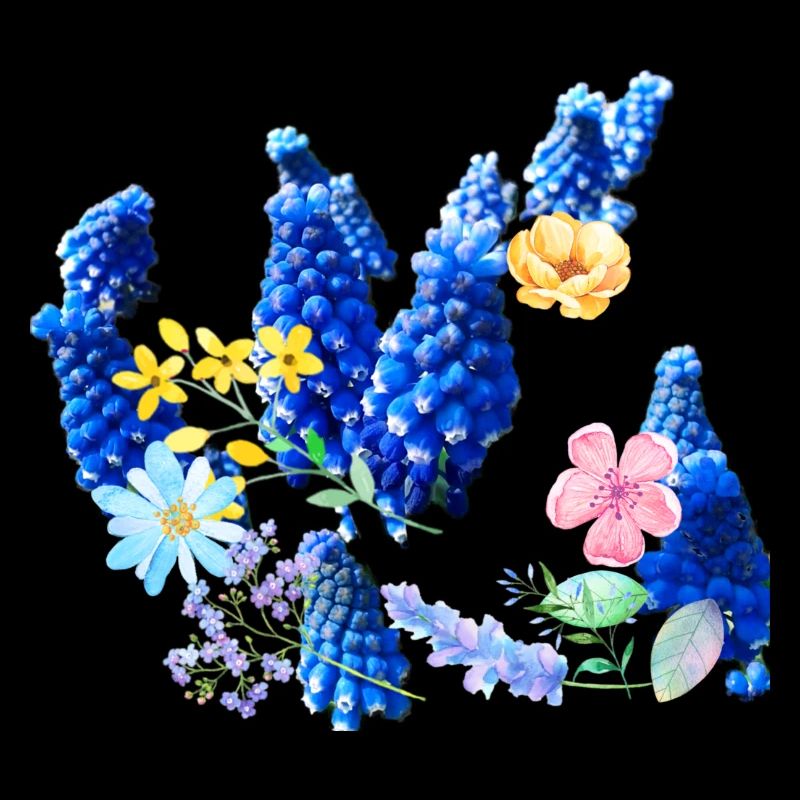Fleurs,Fleur,Printemps,Fleurs,Jacinthes