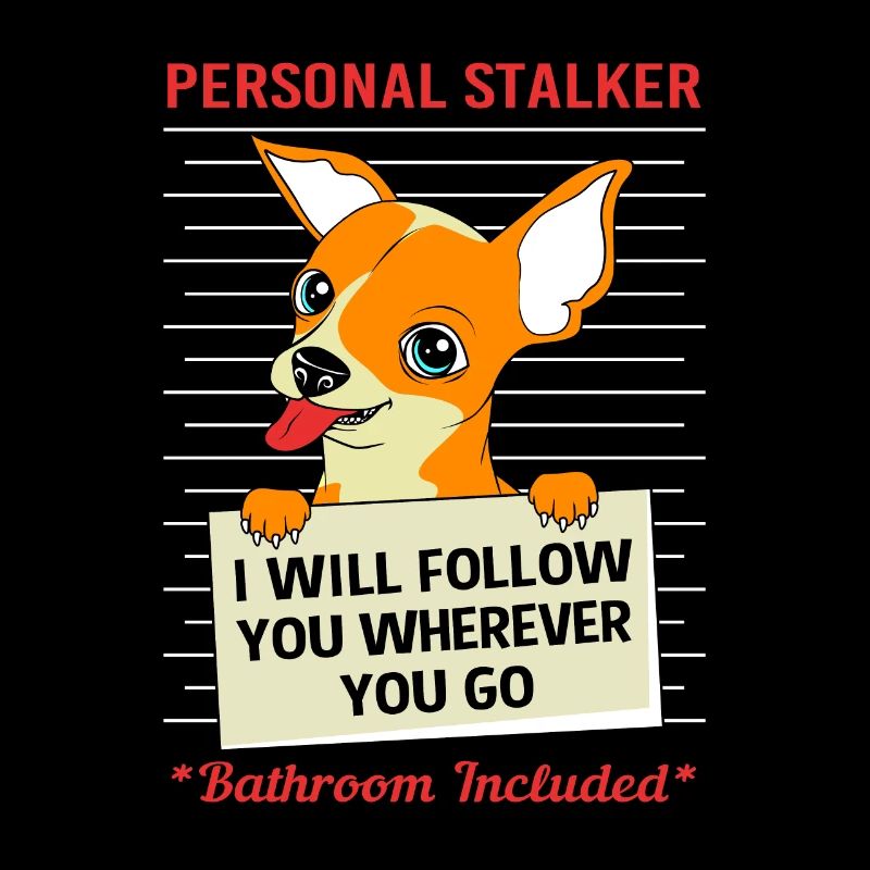 Chihuahua Stalker