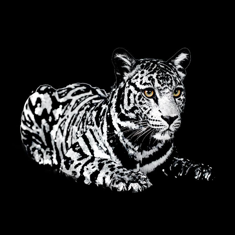 Tiger,leopard,sequins,glitter,black and white