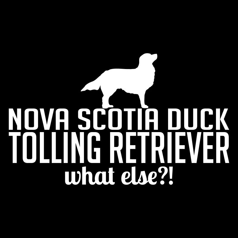 Nova Scotia Duck Tolling Retriever hva annet