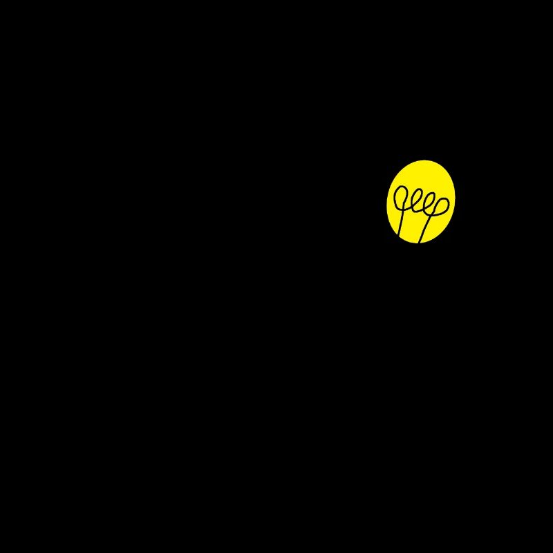 cogito ergo sum - Lateinischer Spruch