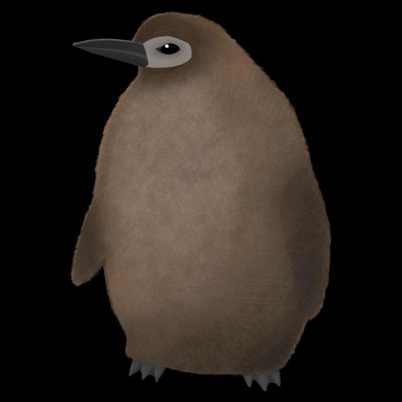 Pingouin pesto
