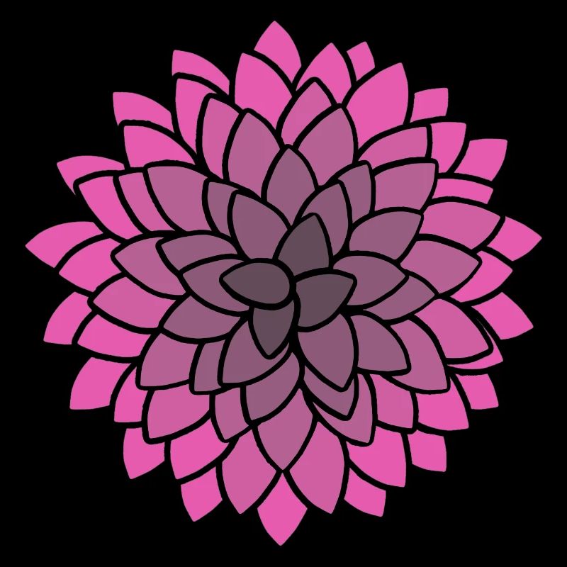 MUMS Flower Pink Blumen