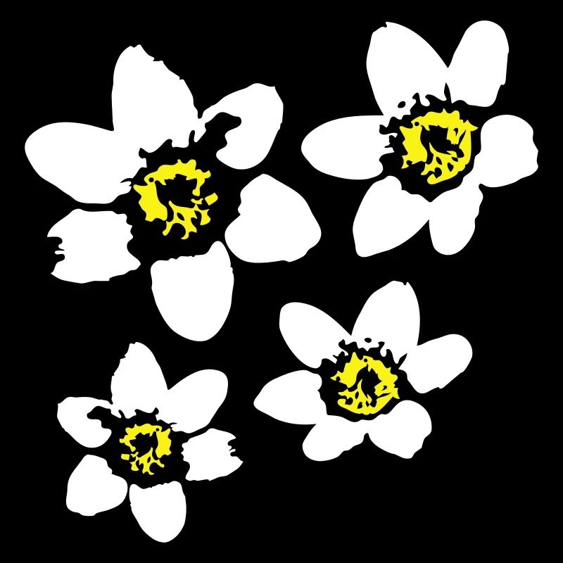 4 Weiße Margeriten Blumen Frühling Sommer Blümchen