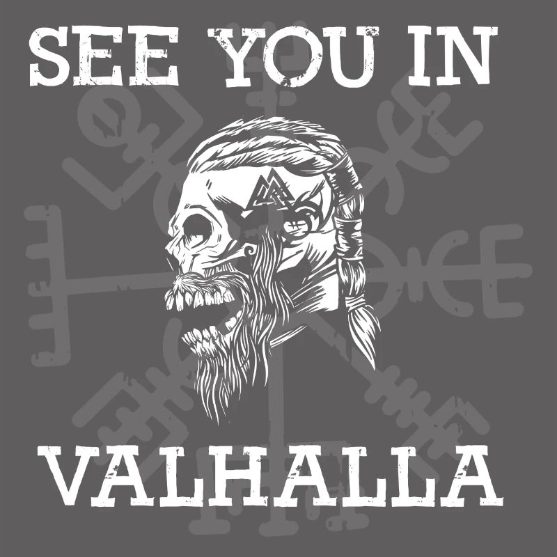 Rendez-vous à Vallhalla Compass Vikings