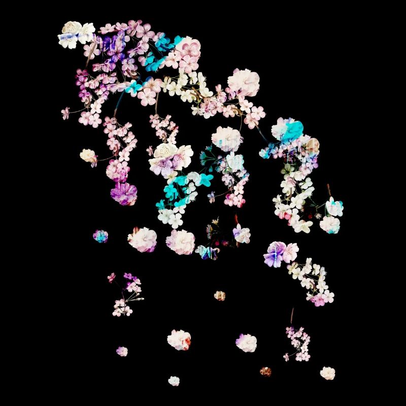 Fleur de cerisier,fleurs,fleurs,fleurs,fleurs