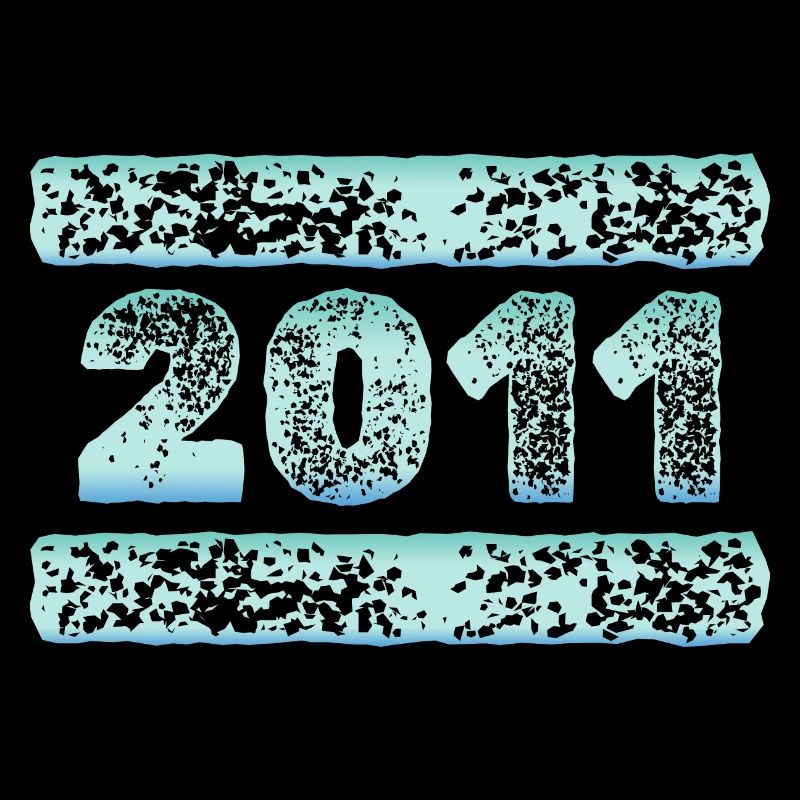 Année 2011