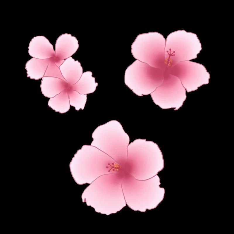 Pack de fleurs hawaïennes d’hibiscus rose