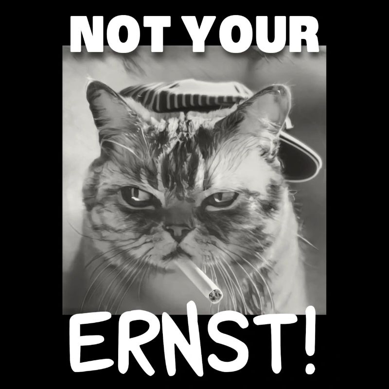 not your ernst! Sarkasmus Denglisch Katze