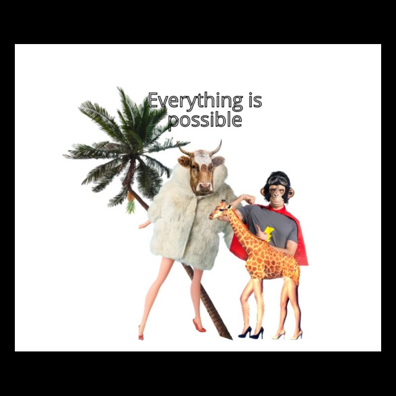 EVERYTHING IS POSSIBLE