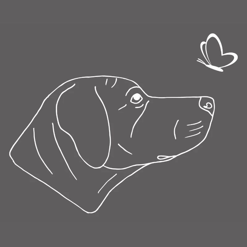 Rhodesian Ridgeback mit Schmetterling