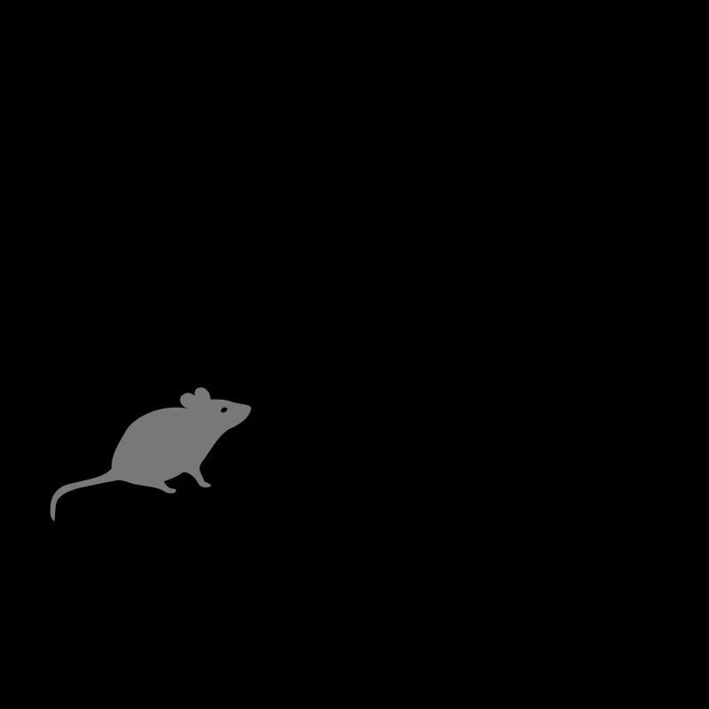 Cat & Mouse