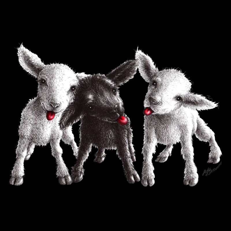 mouton effronté
