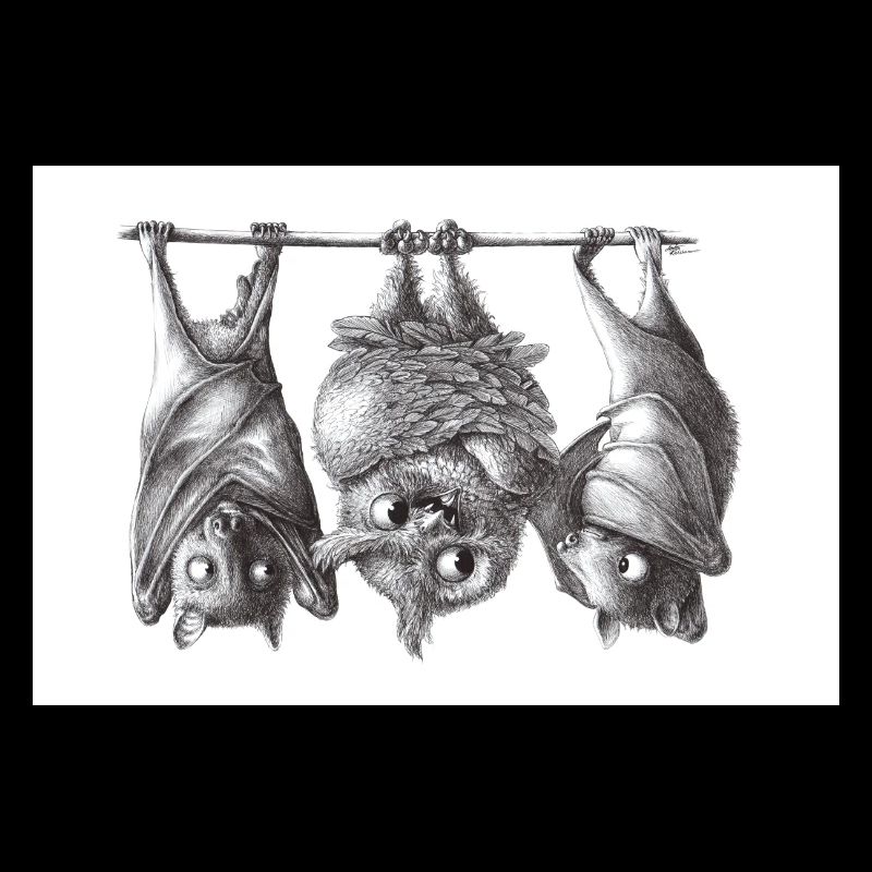 Chouette et chauve-souris vampire