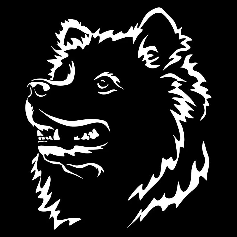 Tête de Samojede « Black Edition »