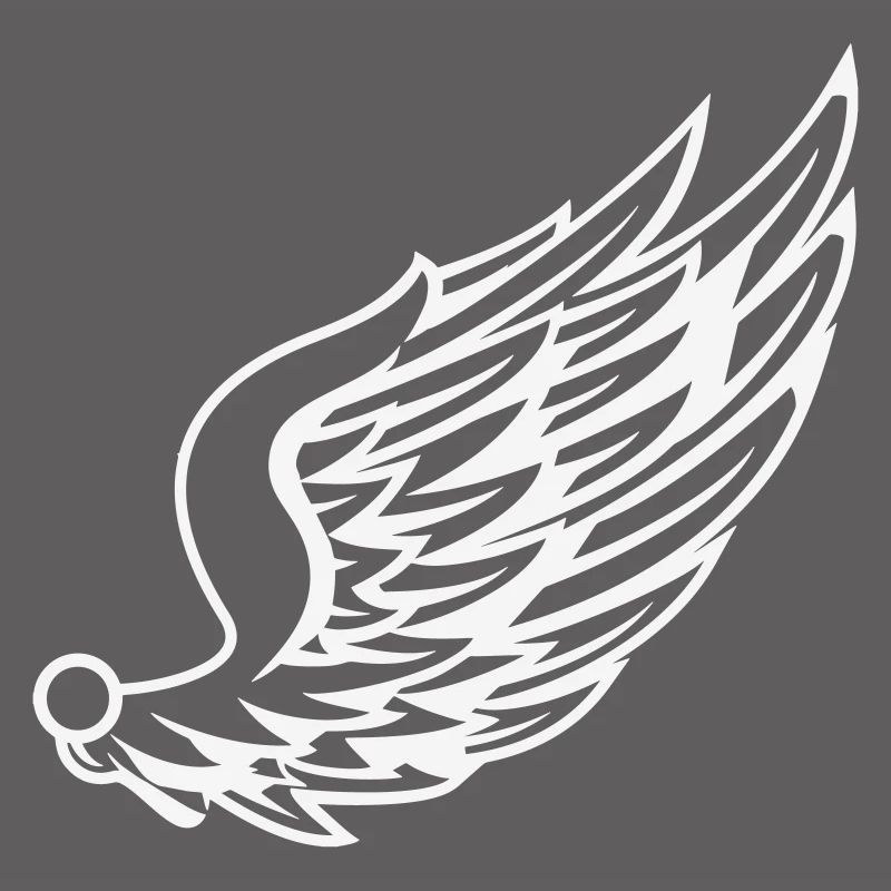 Wings with dynamic feather drawing