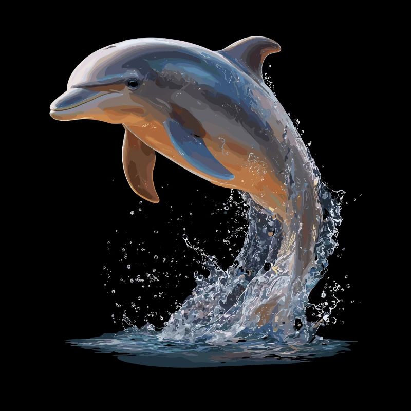 Dolphin Diver Dolphins Ocean Cute Dolphins Dolphin