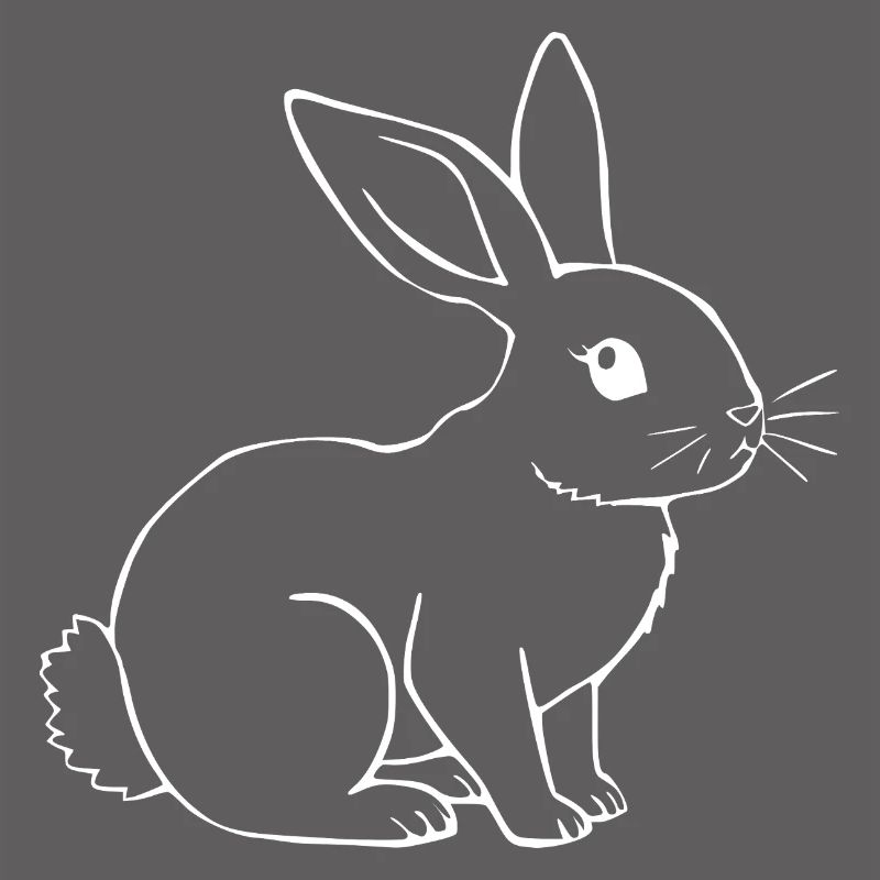 Rabbit Bunny Bunny Dwarf Rabbit Gift