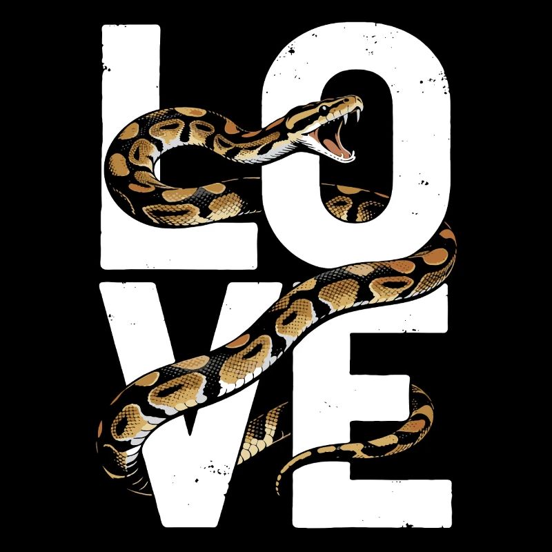 Les serpents rois Python ADORENT les pythons de terrarium