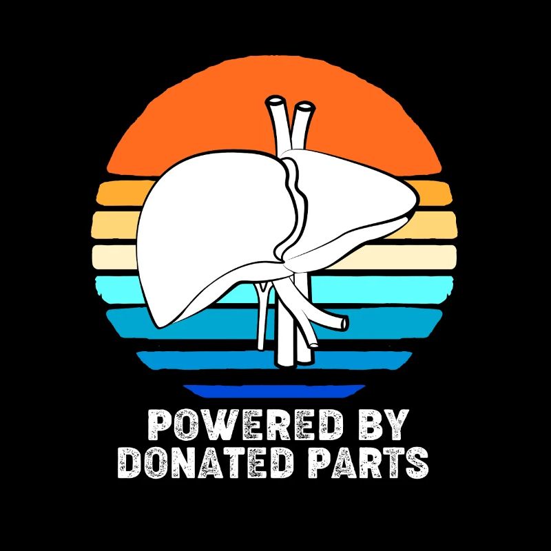 Organ Spender Leber Organspender Leberspende