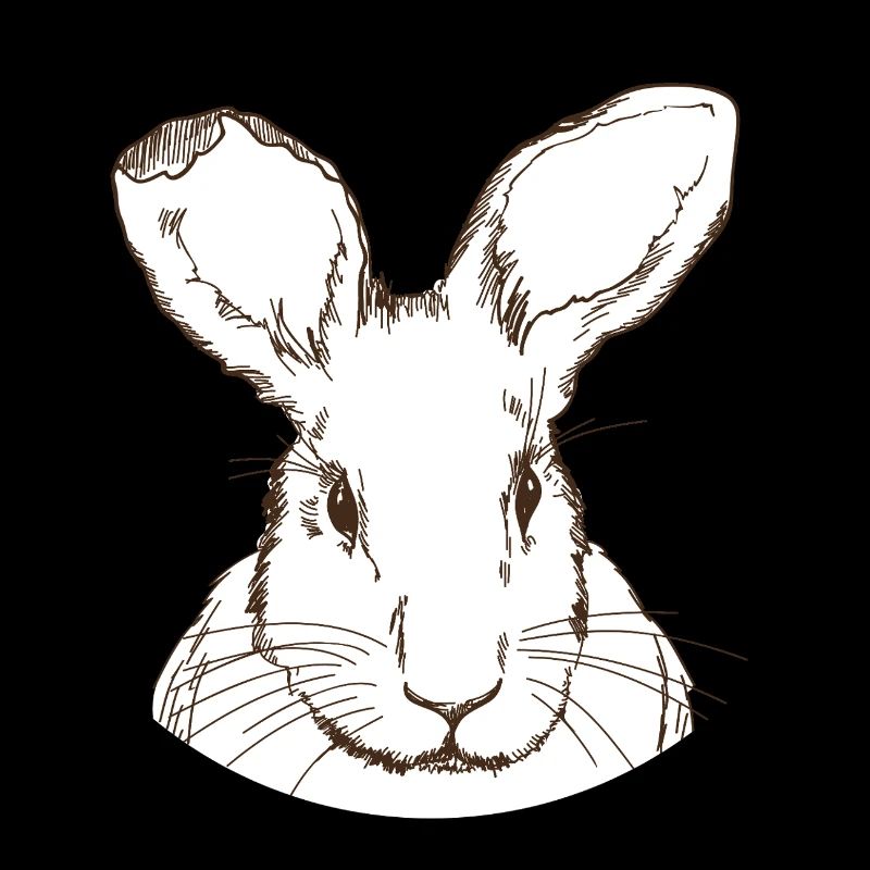 Lapin