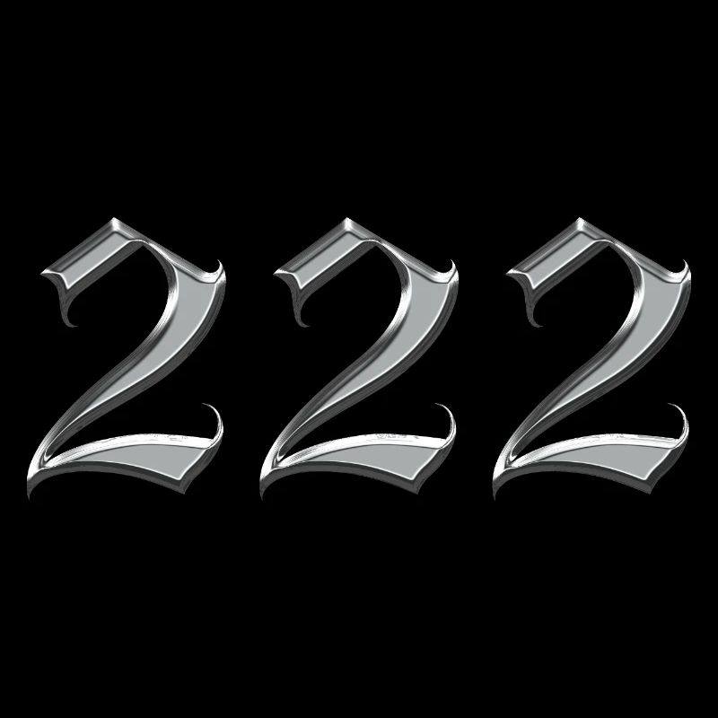 Angel Number 222 Alignment 