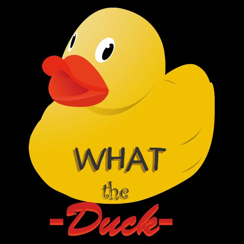 Qu'est-ce que le canard?