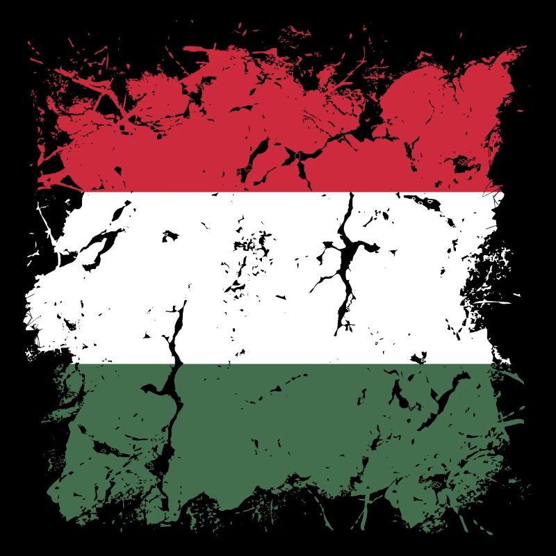 Hongrie Drapeau Hongrois Drapeau Balaton Hongrie
