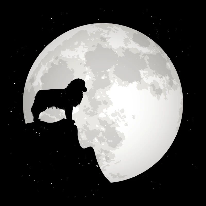 Australian Shepherd