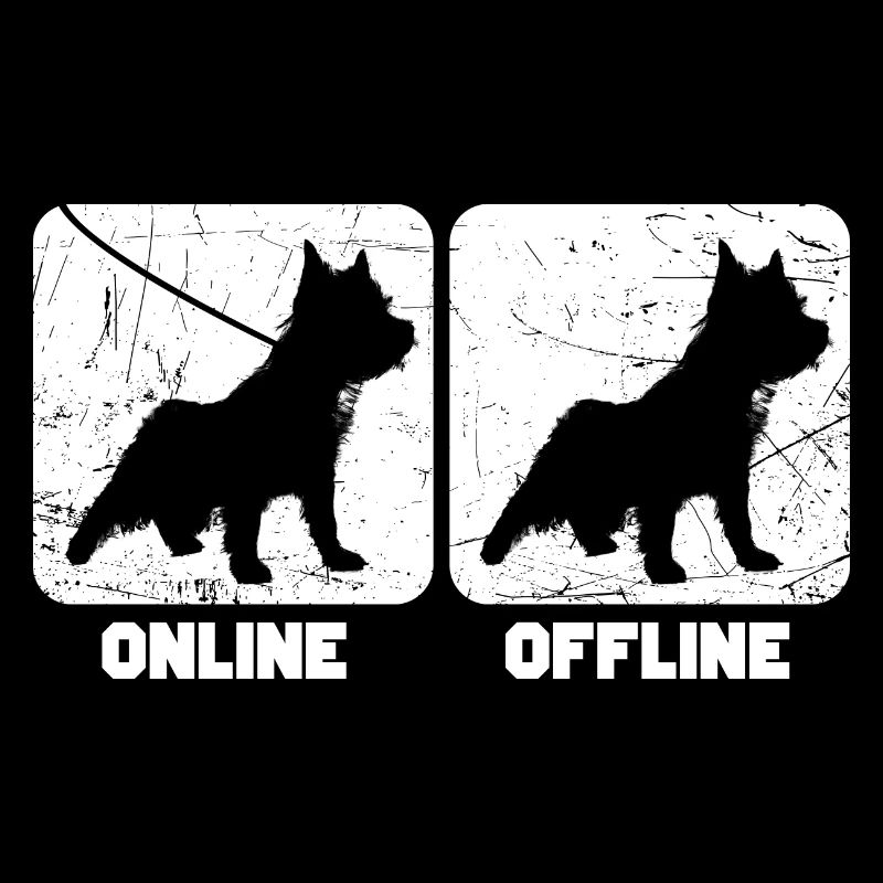 Cairn Terrier