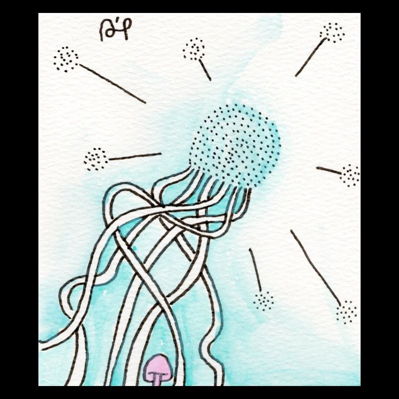 Confusion 10